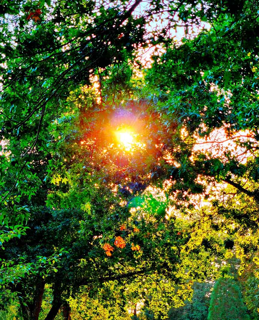 I'm Here For You III